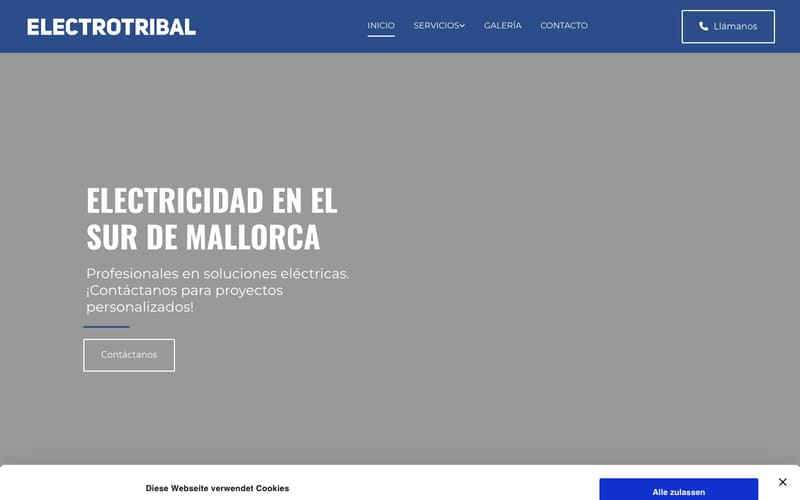 Website von Electrotribal